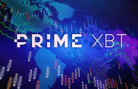Exploring PrimeXBT Hub Your Gateway to Innovative Trading Strategies