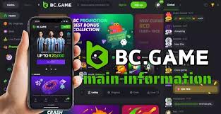 BC.Game ID Contact Details Everything You Need to Know
