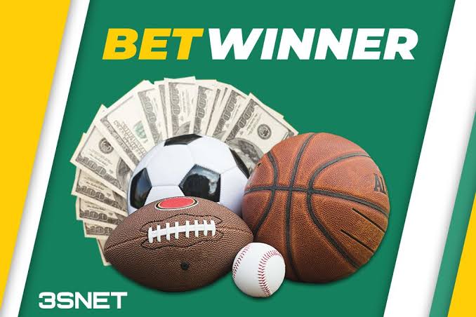 Comprehensive Guide to the BetWinner Platform